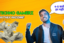 Monthly Income of Techno Gamerz