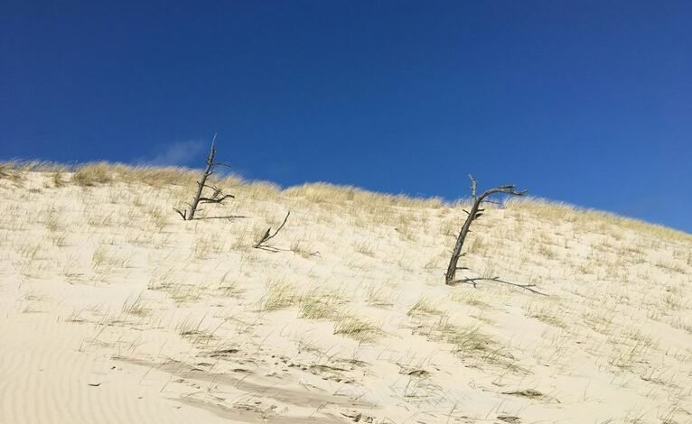 explore instagram stories easily